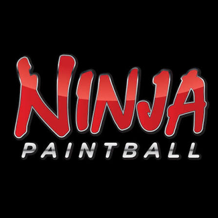Ninja logo